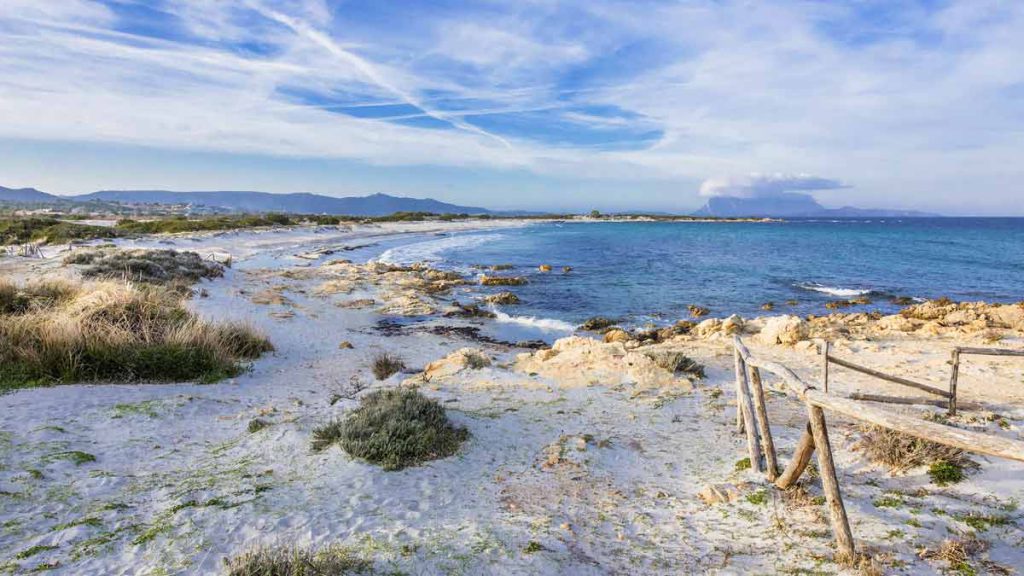 The best beaches in San Teodoro and the surrounding area