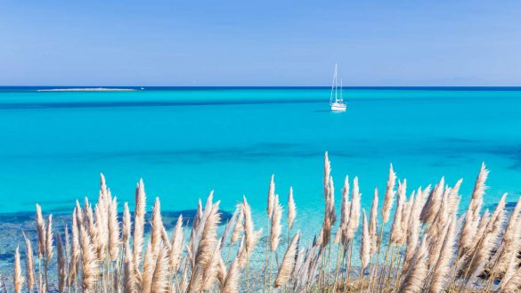 Le 7 spiagge più belle della Sardegna (raggiungibili in auto)