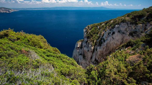 Boschi, foreste e parchi naturali da visitare in Sardegna