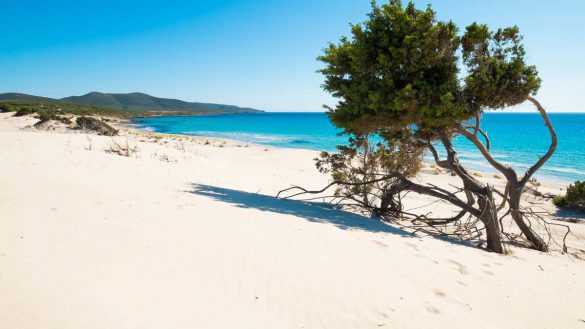 Agosto in Sardegna: ecco le spiagge meno affollate!