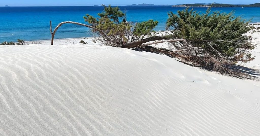 spiaggia Is Arenas Biancas