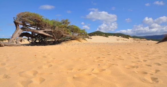 spiaggia di Piscinas